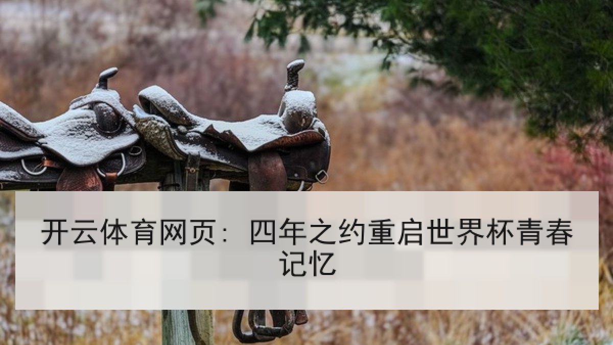开云体育网页: 四年之约重启世界杯青春记忆