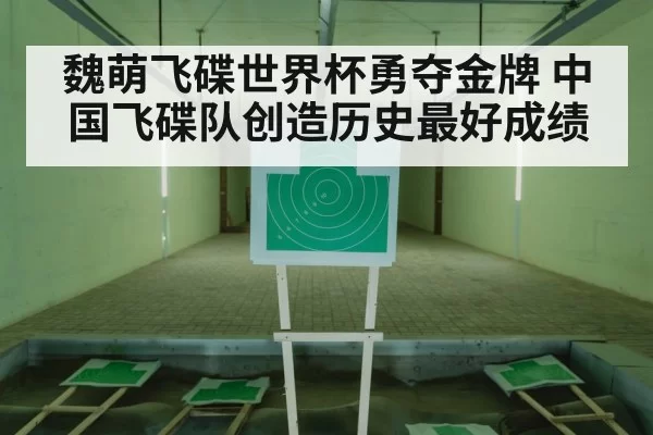 魏萌飞碟世界杯勇夺金牌 中国飞碟队创造历史最好成绩